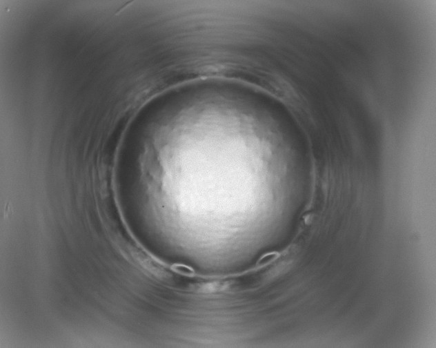 X0000082140366200702021615