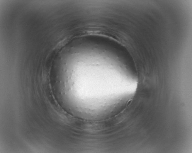 X0000082140367200702021615