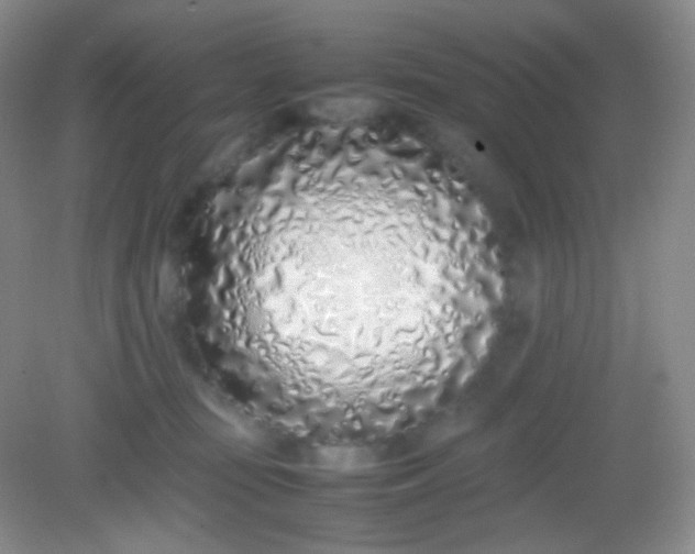 X0000082140371200702021615