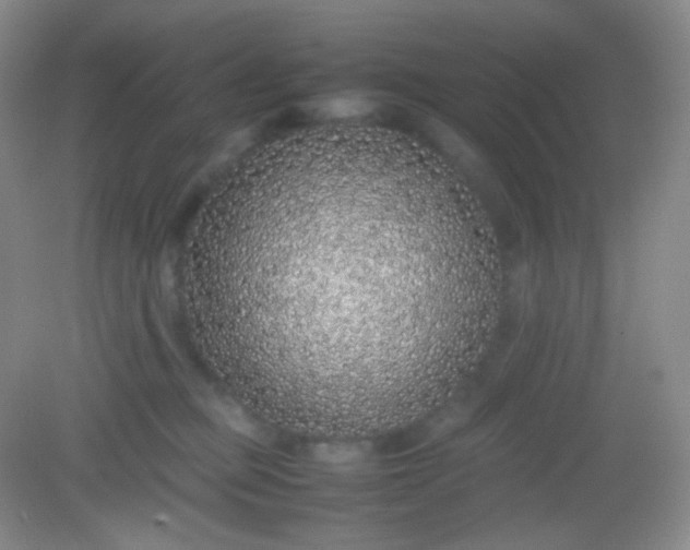 X0000082140373200702021615