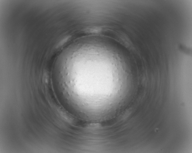 X0000082140374200702021615