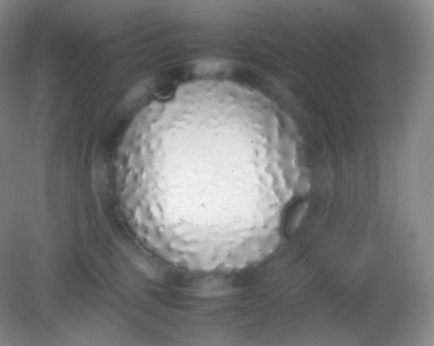 X0000082140375200702021615