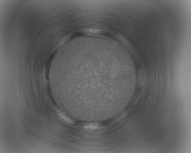 X0000082140377200702021615
