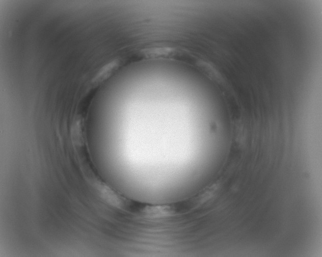 X0000082140378200702021615