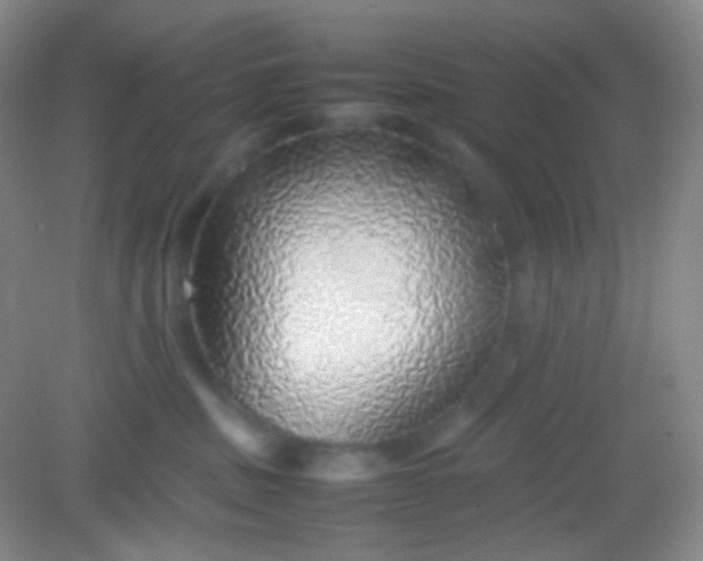 X0000082140379200702021615