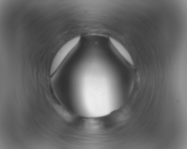 X0000082140380200702021615