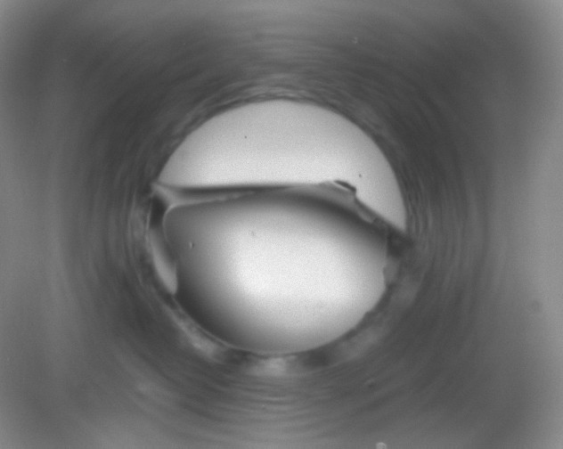X0000082140382200702021615