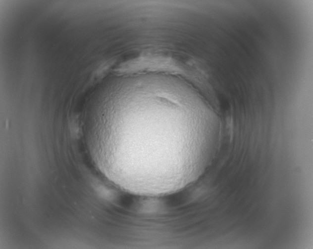 X0000082140383200702021615