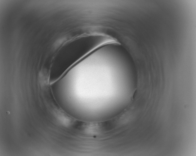 X0000082140384200702021615