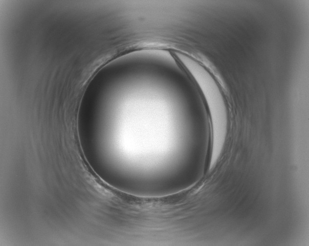 X0000082140385200702021615