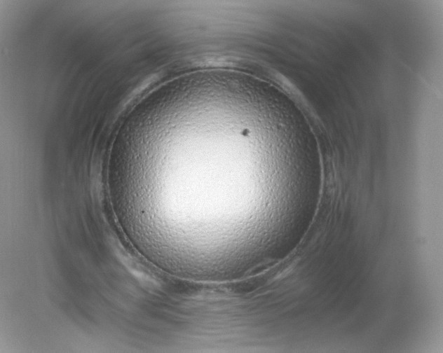X0000082140386200702021615