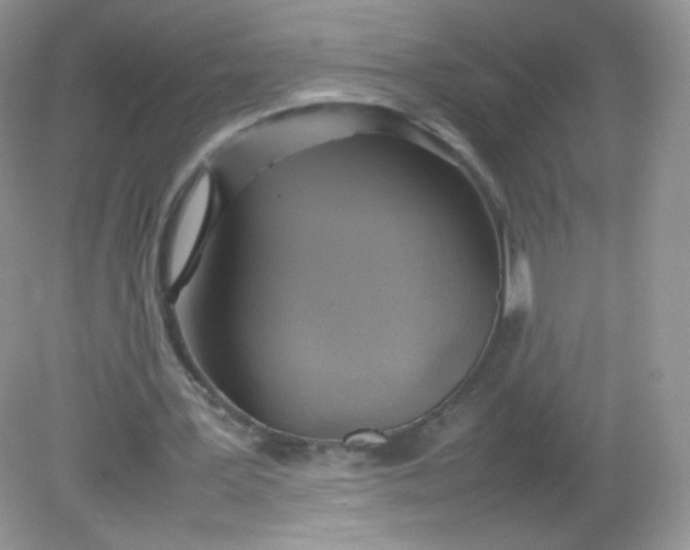 X0000082140387200702021615