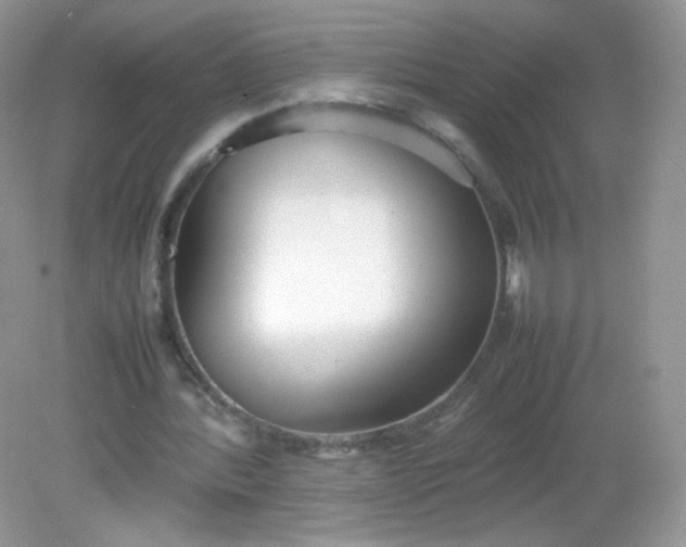 X0000082140388200702021615