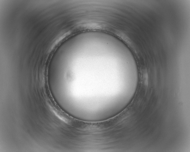 X0000082140390200702021615