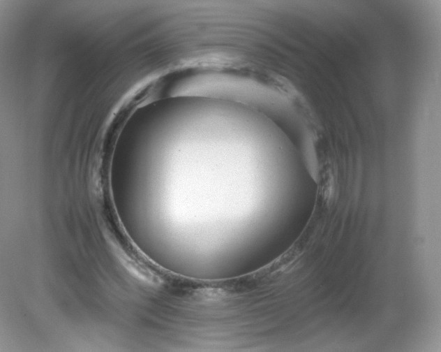 X0000082140392200702021614