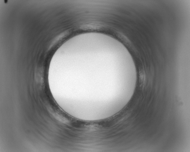 X0000082140396200702021614