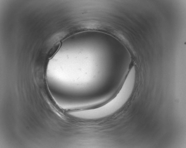 X0000082140397200702021614