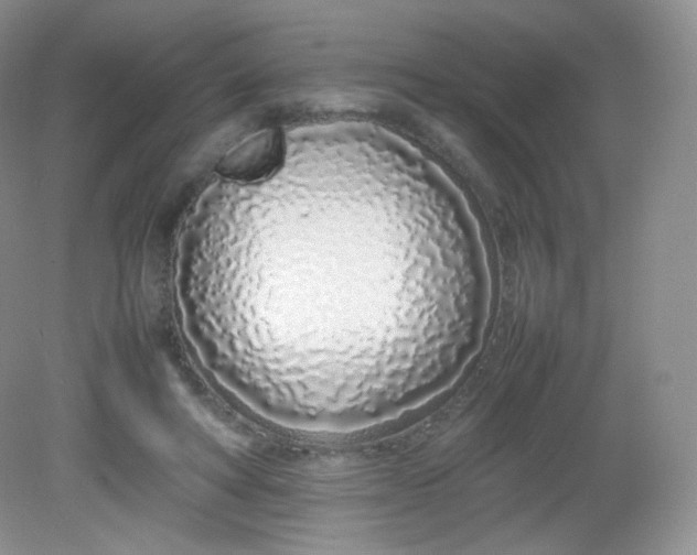 X0000082140402200702021614