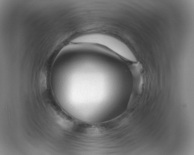 X0000082140404200702021614
