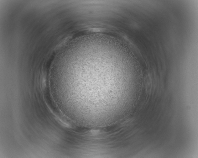 X0000082140406200702021614