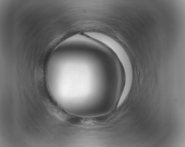 X0000082140407200702021614