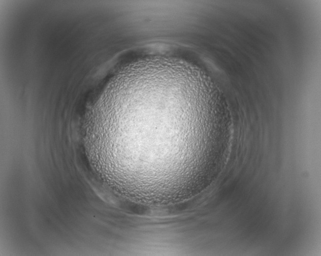 X0000082140413200702021614