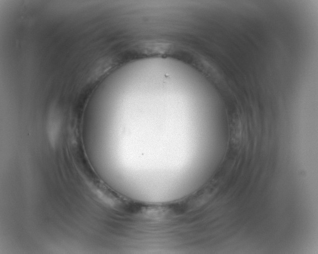 X0000082140414200702021614