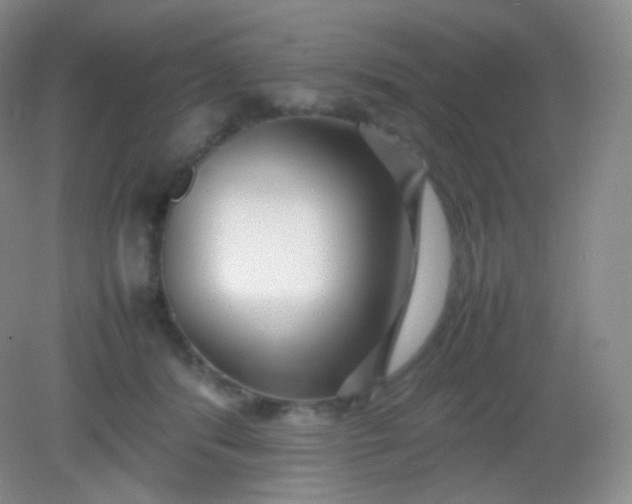 X0000082140416200702021614