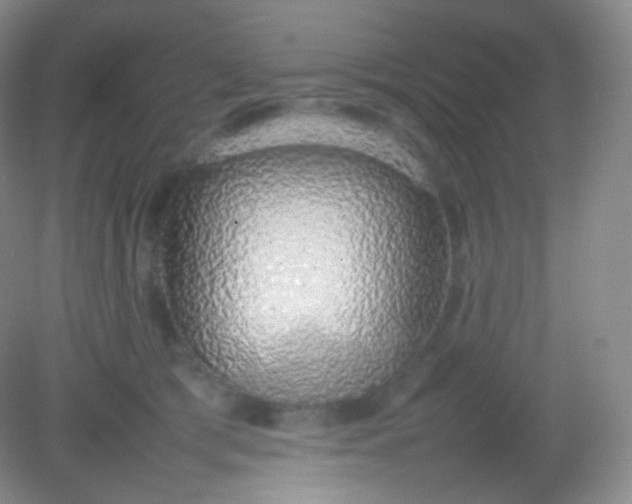 X0000082140417200702021614