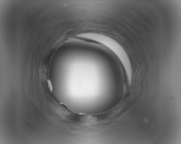 X0000082140421200702021614