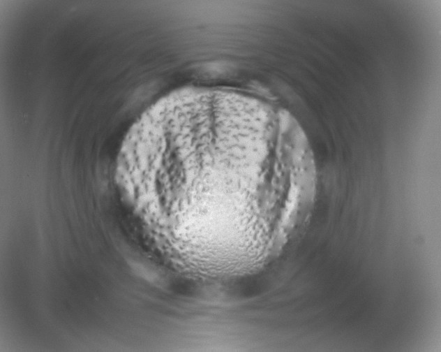 X0000082140423200702021614