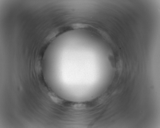 X0000082140426200702021614