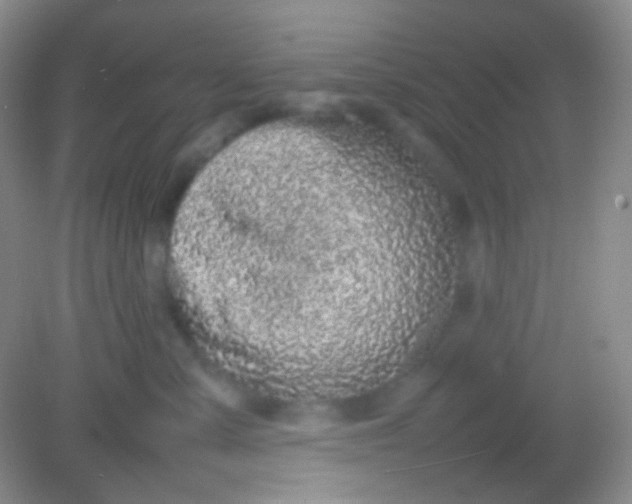 X0000082140427200702021614