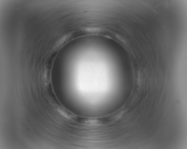 X0000082140428200702021614