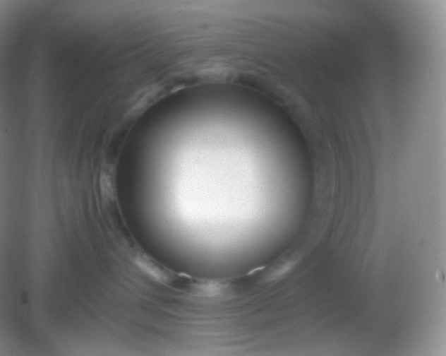 X0000082140432200702021614