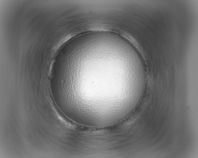 X0000082140433200702021613