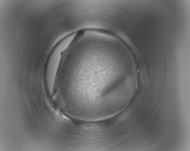 X0000082140434200702021613