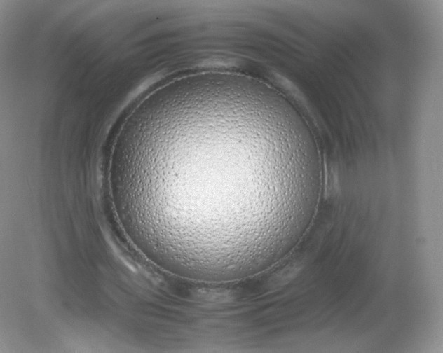 X0000082140435200702021613