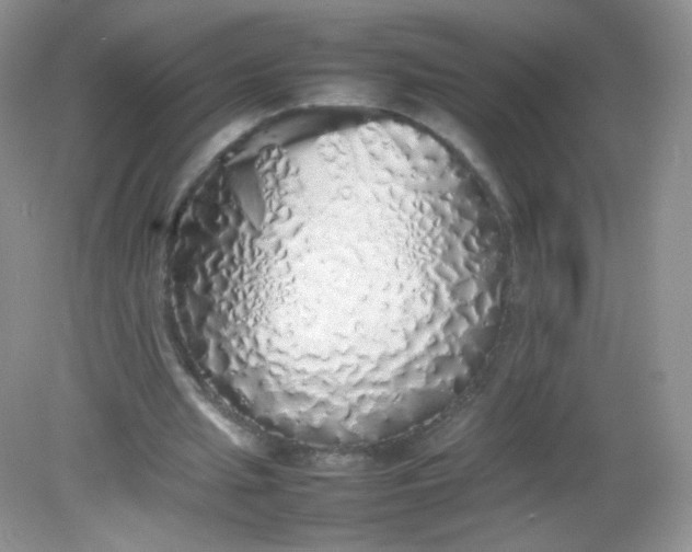 X0000082140437200702021613