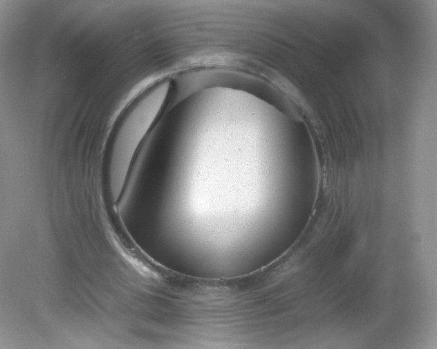 X0000082140438200702021613