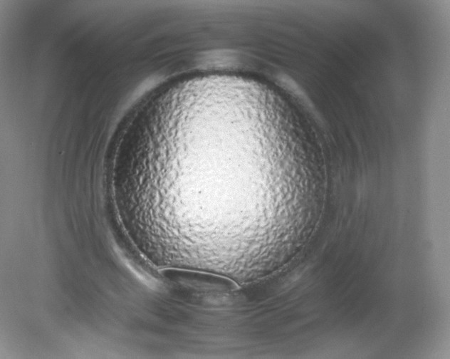 X0000082140439200702021613