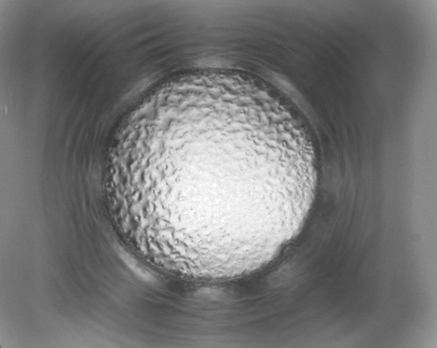 X0000082140441200702021613