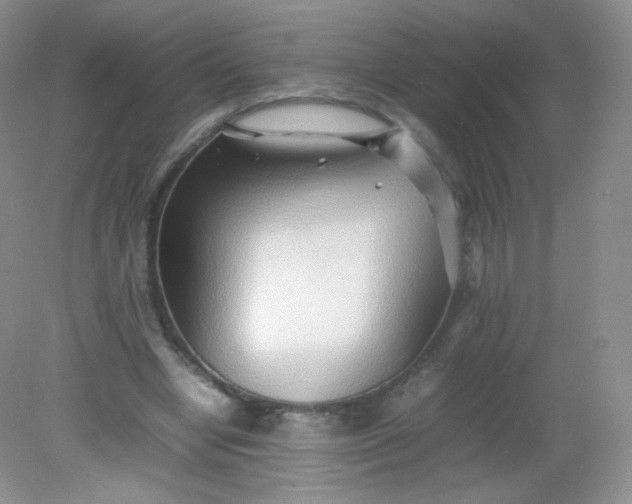 X0000082140442200702021613