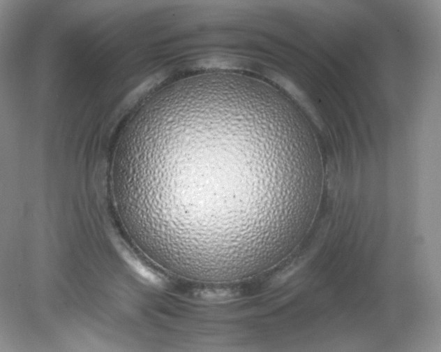X0000082140445200702021613