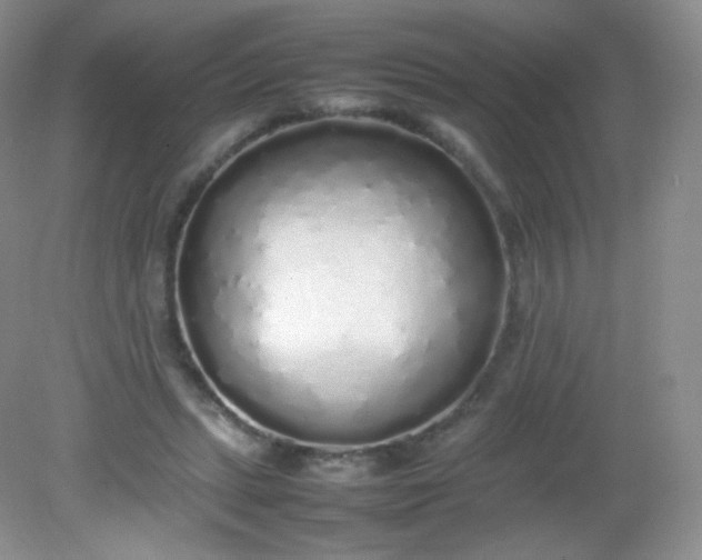 X0000082140447200702021613