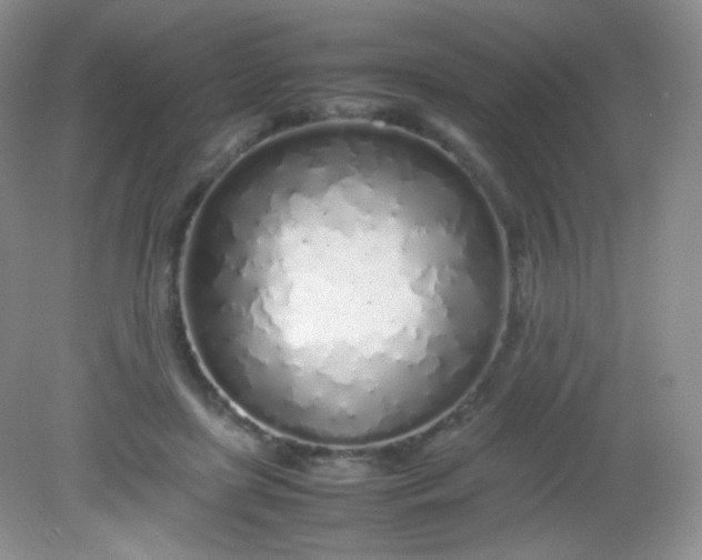 X0000082140451200702021613