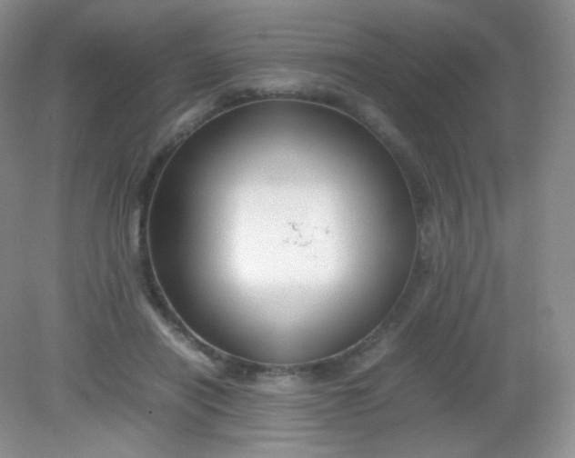 X0000082140454200702021613