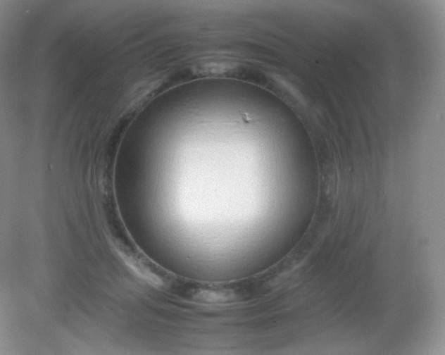 X0000082140455200702021613