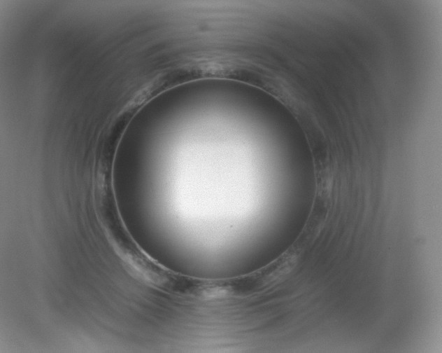 X0000082140456200702021613
