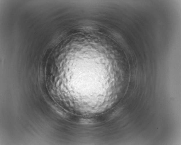 X0000082140457200702021613